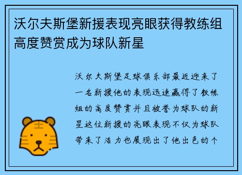 沃尔夫斯堡新援表现亮眼获得教练组高度赞赏成为球队新星