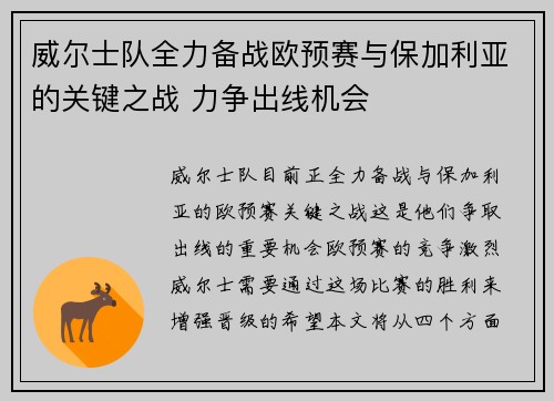 威尔士队全力备战欧预赛与保加利亚的关键之战 力争出线机会